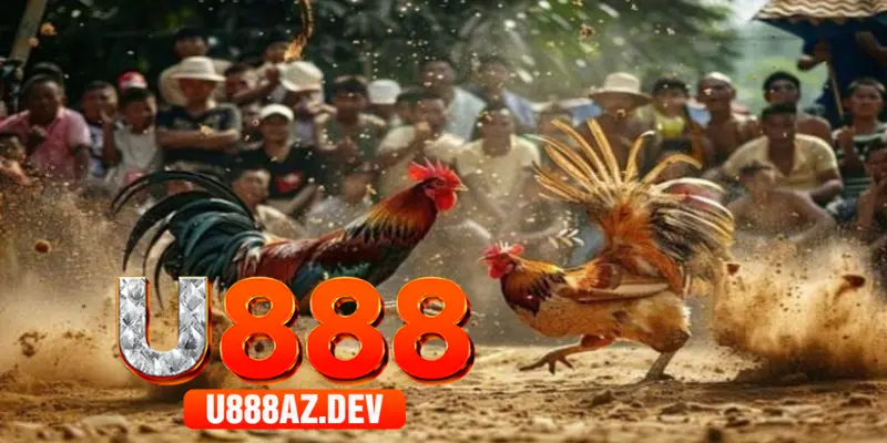 Nguyên tắc thắng thua đá gà online tại U888